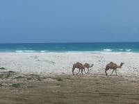 Salalah im Oman